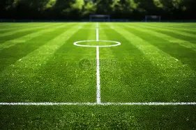 焦点战平局,辽粤对决悬,念再燃,开云体育,开云体育官网,开云体育app,开云体育app下载