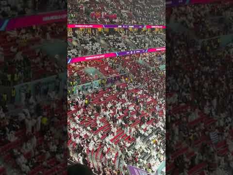 李璇解码亚,国联,国足受益良,开云体育,开云体育官网,开云体育app,开云体育app下载